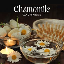 Chamomile Calmness - Relaxation Academy