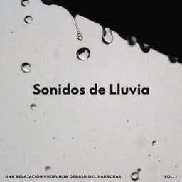 Sonidos De Lluvia: Una Relajación Profunda Debajo Del Paraguas - Maravilla de lluvia