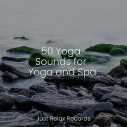 50 Yoga Sounds for Yoga and Spa - Lounge relax