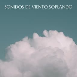 Sonidos De Viento Soplando - Sonidos De Lluvia y Viento