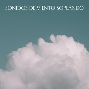 Sonidos De Viento Soplando - Sonidos De Lluvia y Viento