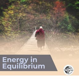 Energy in Equilibrium - Yin Yang Man