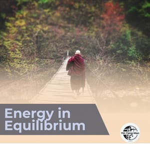 Energy in Equilibrium - Yin Yang Man