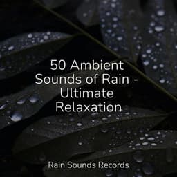 50 Ambient Sounds of Rain - Ultimate Relaxation - Calming Sounds