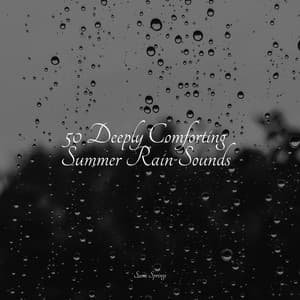 50 Deeply Comforting Summer Rain Sounds - It's Raining