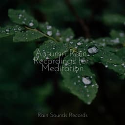 Autumn Rain Recordings for Meditation - MEDITATION SPA