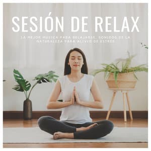 Sesión de Relax: La Mejor Música para Relajarse, Sonidos de la Naturaleza para Alivio de Estrés - Musica Reiki