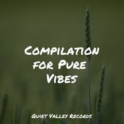 Compilation for Pure Vibes - Spa Music Collective