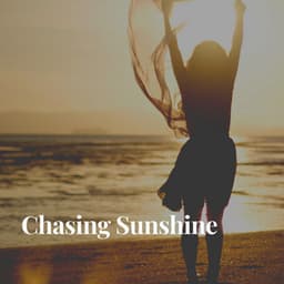 Chasing Sunshine - Decidic FX