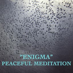 "Enigma" Peaceful Meditation - Johann Sebastian Bach