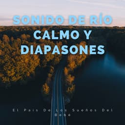 El País De Los Sueños Del Bebé: Sonido De Río Calmo Y Diapasones - Ambiente de agua