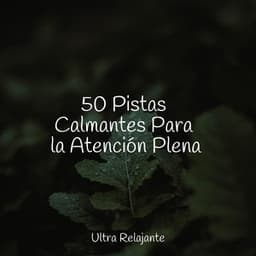 50 Pistas Calmantes Para la Atención Plena - Dormir