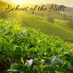Echoes of the Hills - Granular