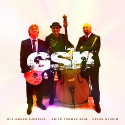 Gsn - Ole Amund Gjersvik