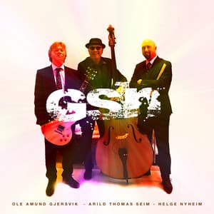 Gsn - Ole Amund Gjersvik