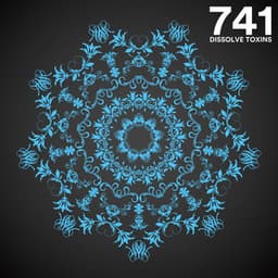 741 Hz Dissolve Toxins - High Vibes Now!