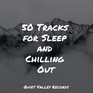 50 Tracks for Sleep and Chilling Out - Binaural Beats Brainwave Entrainment