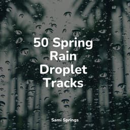 50 Spring Rain Droplet Tracks - The Rain Library