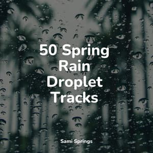 50 Spring Rain Droplet Tracks - The Rain Library