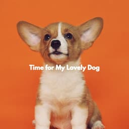 Time for My Lovely Dog - Bossa Nova Cafe Music