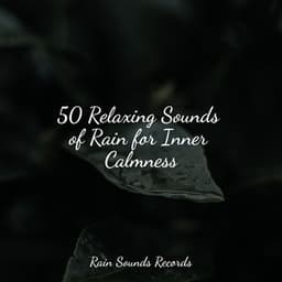 50 Relaxing Sounds of Rain for Inner Calmness - Nature Sounds