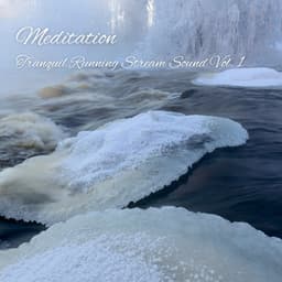 Meditation: Tranquil Running Stream Sound Vol. 1 - Meditation Playlist