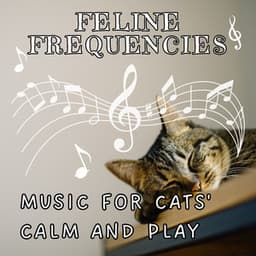 Feline Frequencies - Music for Cats' Calm and Play - Cat Total Relax