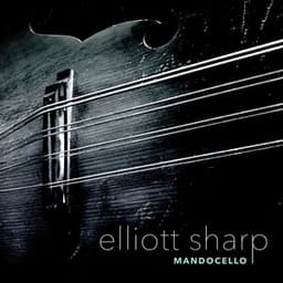 Mandocello - Elliott Sharp