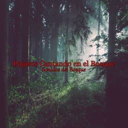 Pajaros Cantando en el Bosque - Sonidos Del Bosque