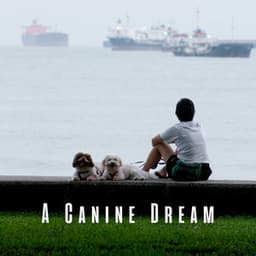 A Canine Dream: Ambient Music for Dogs - Ambient Music Bliss