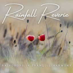 Rainfall Reverie: Ambient Meditations - Rainfall