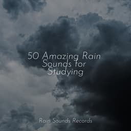 50 Amazing Rain Sounds for Studying - Yoga Sounds