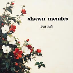 shawn mendes, but lofi - hadrien