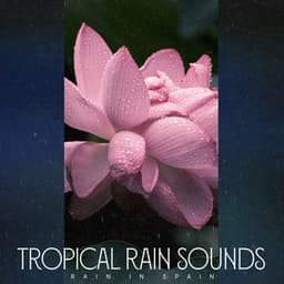 Tropical Rain Sounds - Rain In Spain
