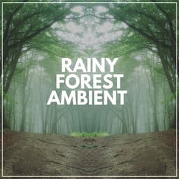 Rainy Forest Ambient - Organic Sound