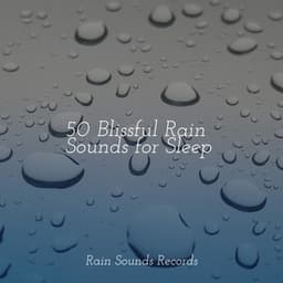 50 Blissful Rain Sounds for Sleep - Naturaleza Sonidos