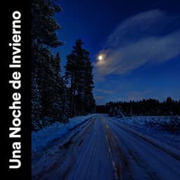 Una Noche De Invierno - Sonidos de la Naturaleza para Dormir