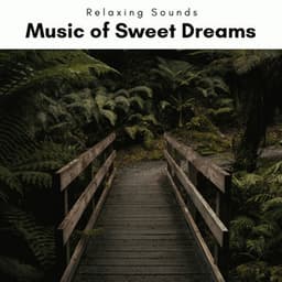 2 0 2 2 Music of Sweet Dreams - Nano Sounds