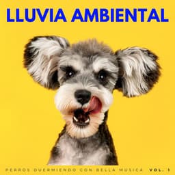 Lluvia Ambiental: Perros Duermiendo Con Bella Música Vol. 1 - Sonidos de lluvia ACE