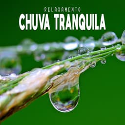 Chuva Tranquila - Relaxamento