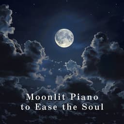 Moonlit Piano to Ease the Soul - Hugo Focus
