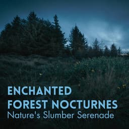 Enchanted Forest Nocturnes: Nature's Slumber Serenade - Forest Dreams