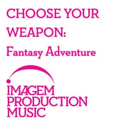 Choose Your Weapon: Fantasy Adventure - Terry Devine-King