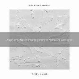 A Cool White Noise For Carpe Diem Perfet Karma, And Calm Down - White Noise Pleasant Sounds