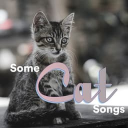 Some Cat Songs - Some Cat Music