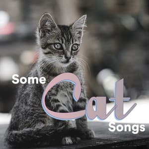 Some Cat Songs - Some Cat Music