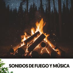 Sonidos de Fuego y Música: Danza bajo las estrellas - Fireplace Sounds