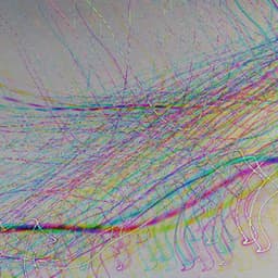 Echoes of Soft Minutes - Restaurant Background Playlist