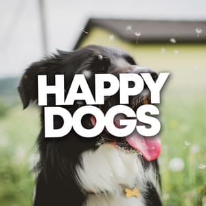 Happy Dogs - Dog Music