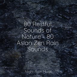 80 Restful Sounds of Nature - 80 Asian Zen Rain Sounds - Masters of Binaurality